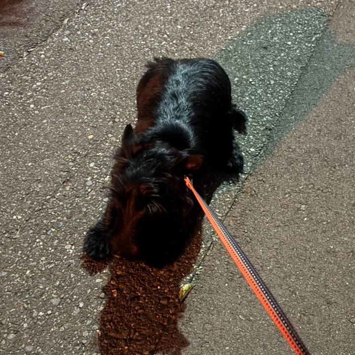 Ea3c9809 4453 4518 9dc3 f8b14d00c29b 1773580514114