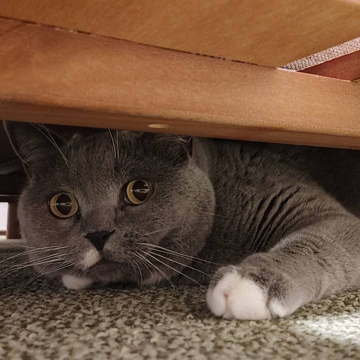 Ea3cbb11 8726 4ba3 8303 4acf6276f408 1658787393790