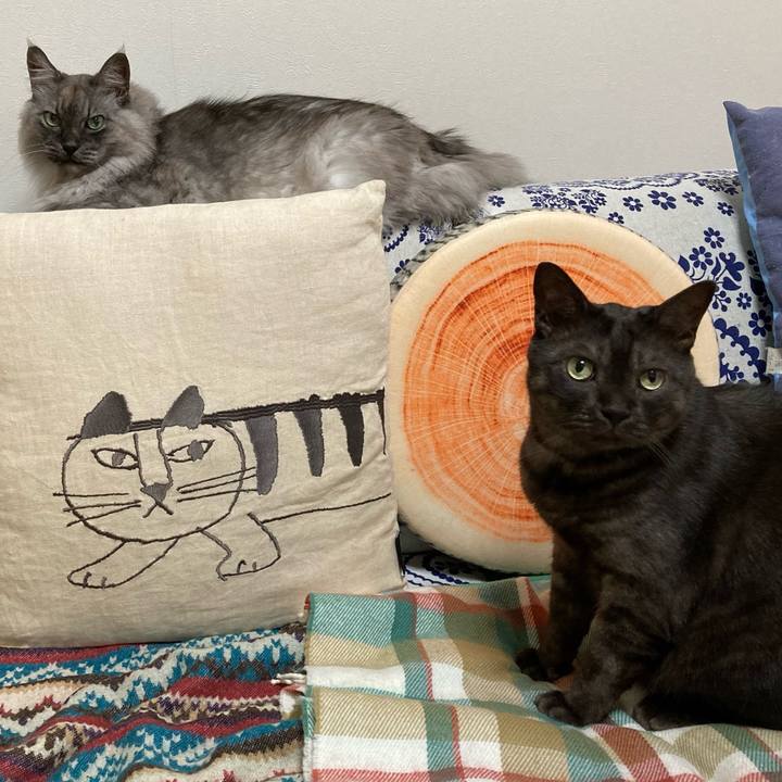 Ea3cd4fb 352b 4707 a67a 32b95f65b1d5 1710029436224