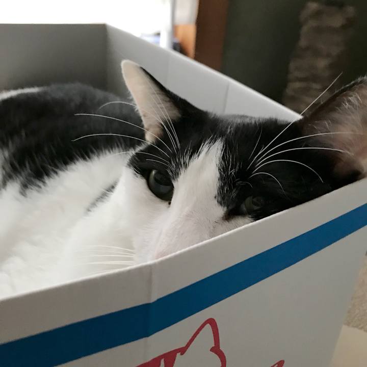 Ea3cfd7d b2c6 405a af5d 9de5e0a34c4a 1537584619200