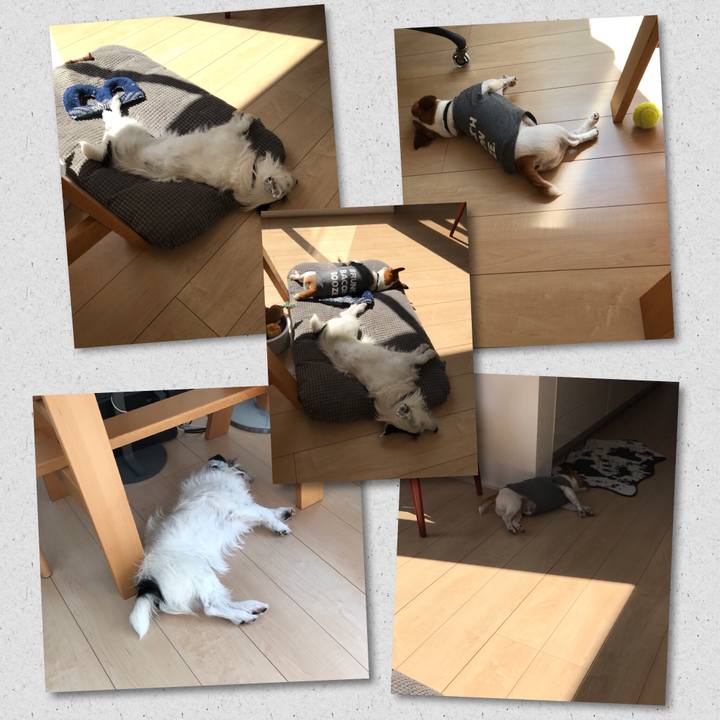 Ea3d1593 8743 4040 8cc2 ea6df126bb8f 1529906014324