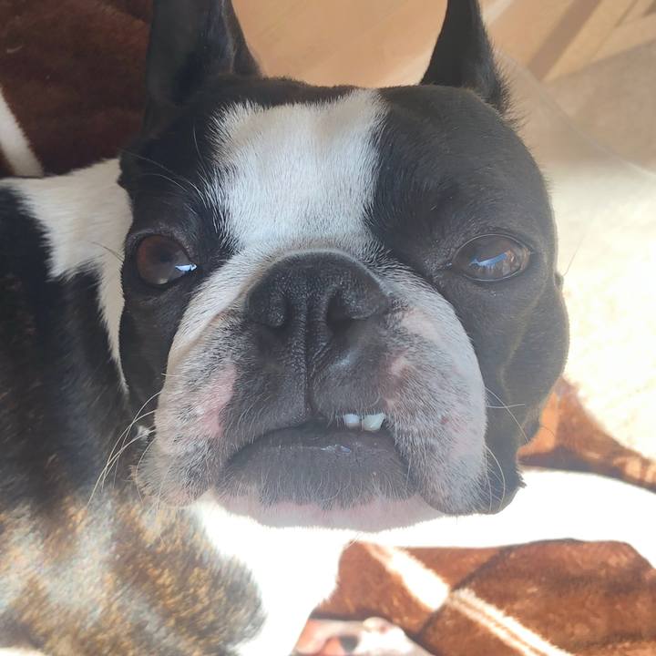 Ea3d1ae8 9077 4d42 afe0 801a15398682 1614482506053