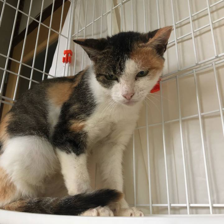 Ea3d3cf0 2ef9 4a27 9447 17597cdf5c29 1570350231288