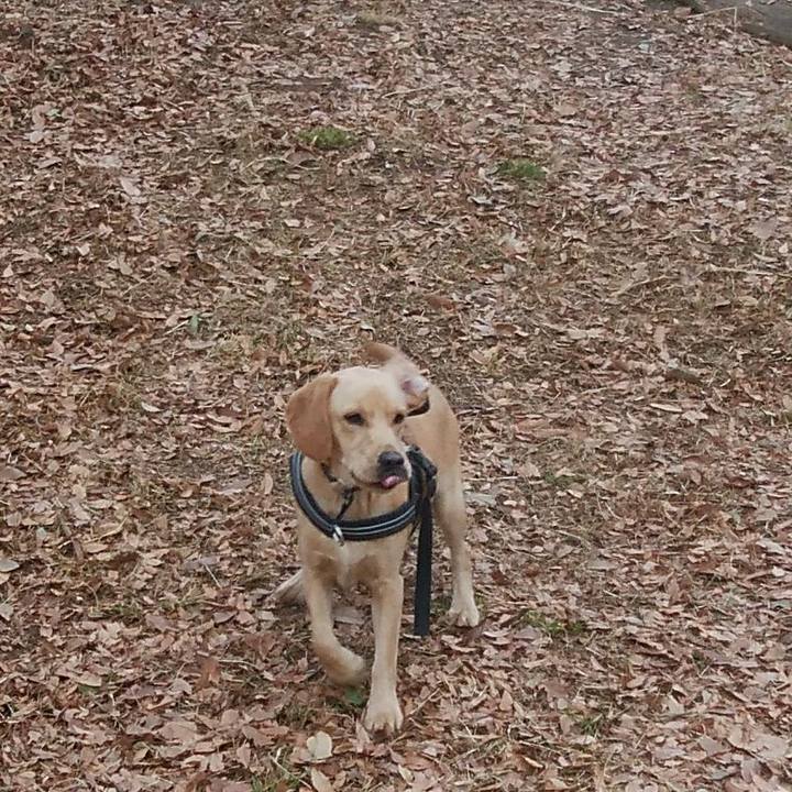 Ea3d7165 8df8 44b1 b3ea e3eea45ad58f 1510960625483