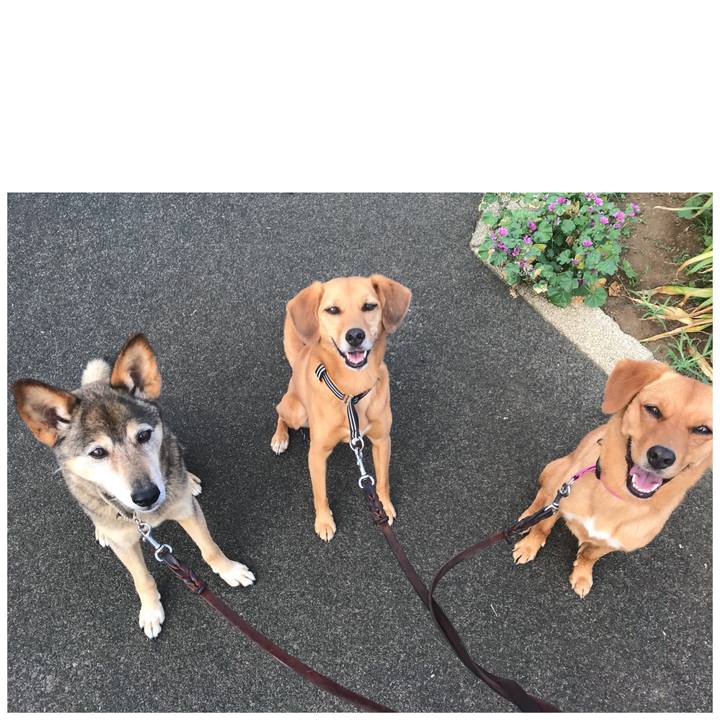 Ea3d911b 295b 4b48 b1e7 ced775632c8c 1532039794604