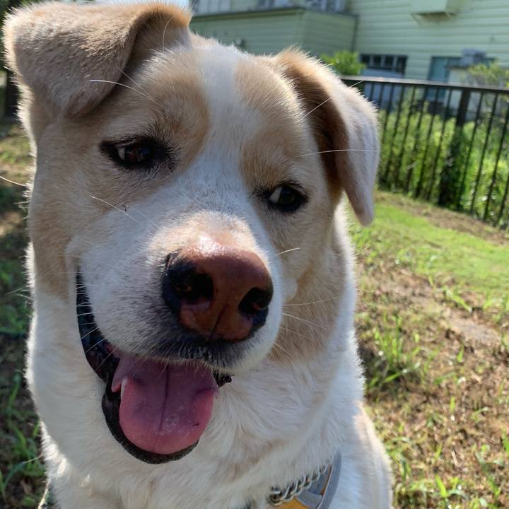 Ea3d9d23 288d 47b6 a374 34ff5bd6b204 1559952794505