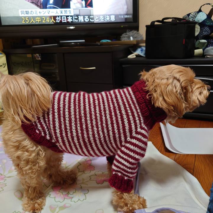 Ea3e3d70 23b4 4143 b5df 1b611280ed67 1640955881407