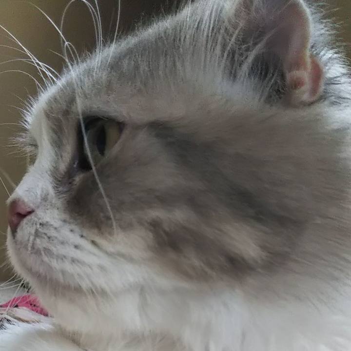 Ea3e6ab8 e921 47b7 a379 5c50ff7810bb 1625350197007