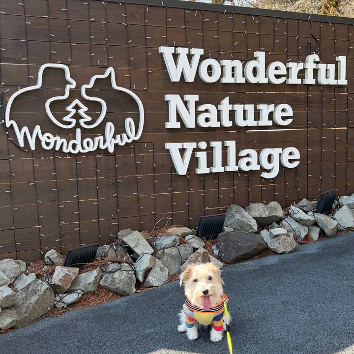 Ea3ea022 2169 41ba 98cf 5d3d5d38136a 1772331879474