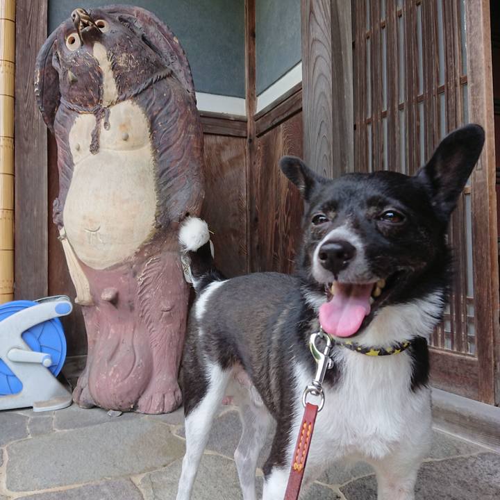 Ea3ebe9c d540 4ee0 99fa 9df707ead225 1530405803096