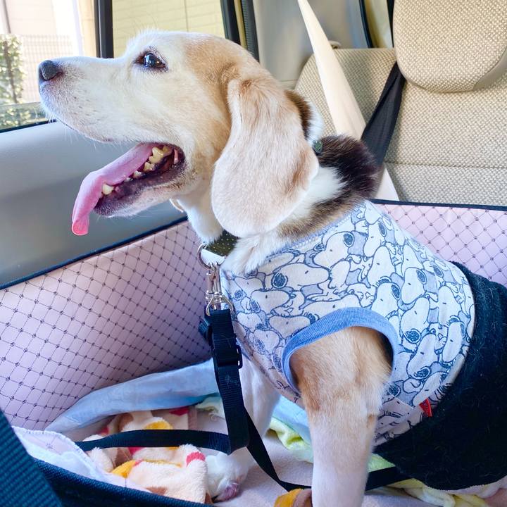 Ea3edf26 07ad 423c 85a4 bae9e7bc73fe 1664507355950