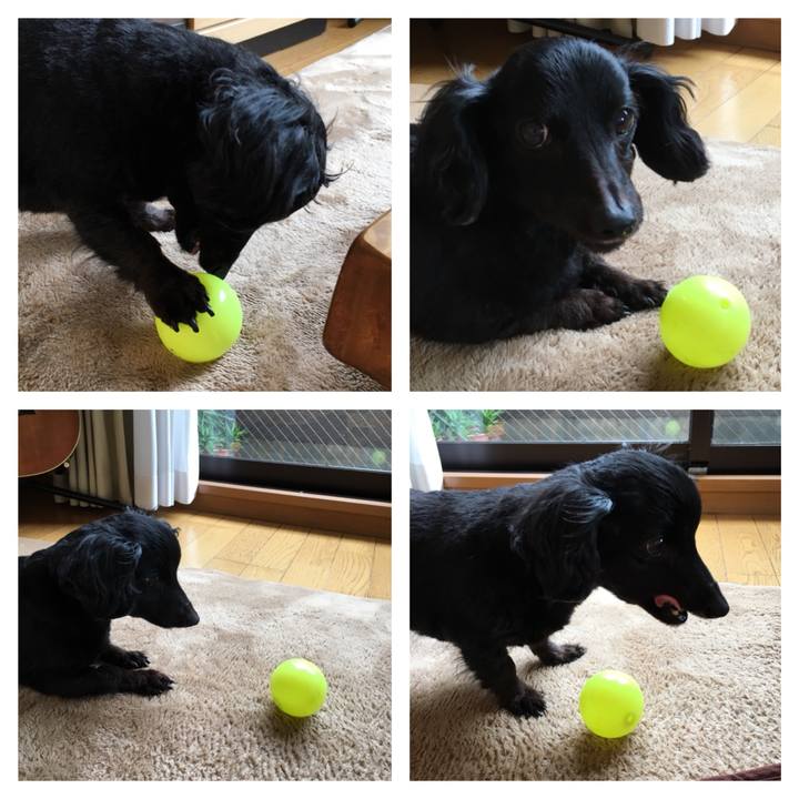 Ea3f0b16 d417 4d16 a181 d0ac52bb60a0 1516229689508