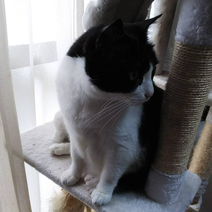 Ea3f128f 14b7 42de bea7 1fec948bc8e7 1529291826004