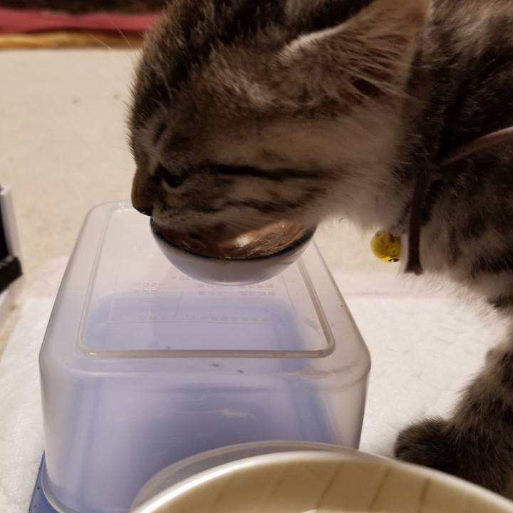 Ea3f26cd be41 435b aa2d 63c1cc26506f 1661698489246