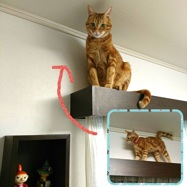 Ea3f3bdf 25ac 42da beca d7171cc7626b 1521933173716