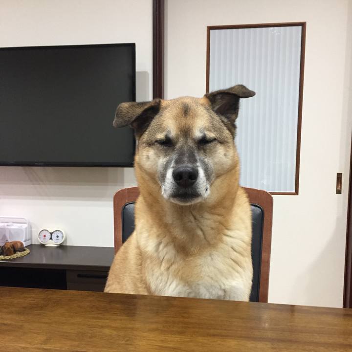 Ea3f5853 a163 4220 a073 37d696a72d90 1517479568071