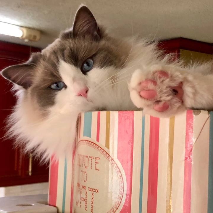 Ea3f7df1 6b27 4ae9 9986 27f49ea84c61 1582502755275