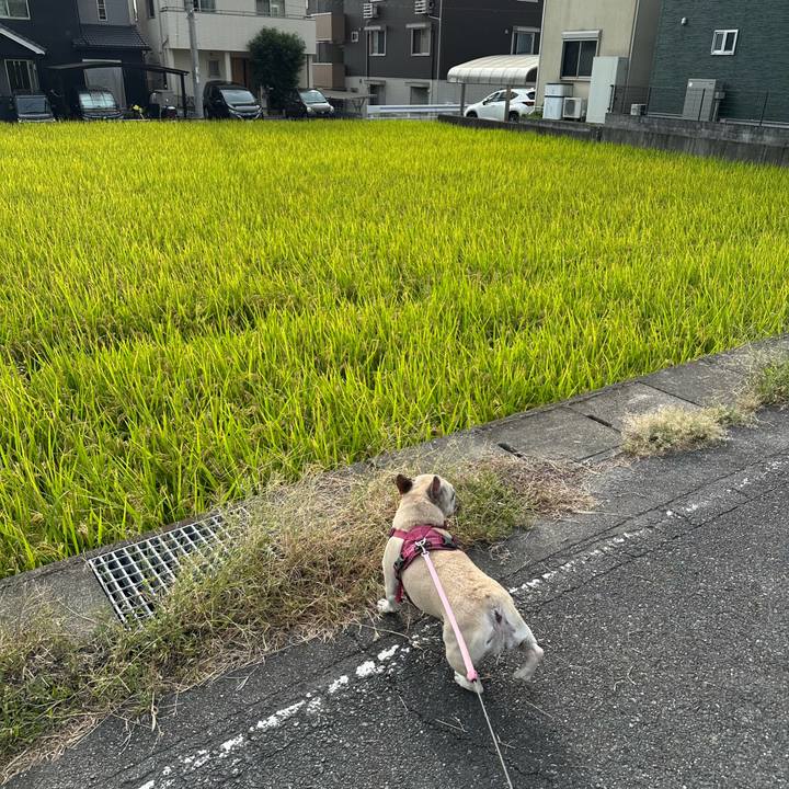 Ea3f9348 8477 43cc b4f2 ee4a5652eb2c 1758602483624