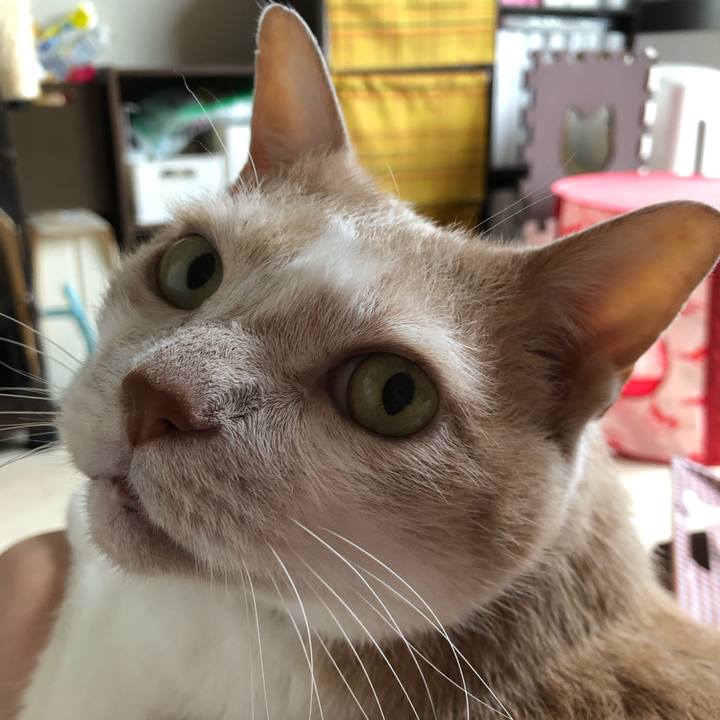 Ea3fd3b0 cc86 4db4 8f73 148a2d278e81 1621126054445