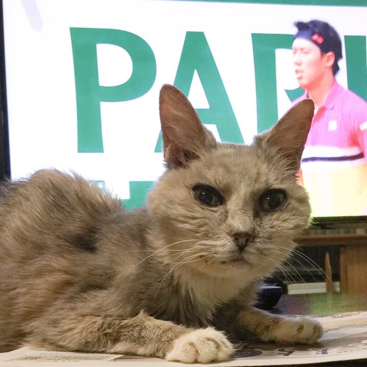 Ea3fd3cd 5fad 4b92 9080 c54fea7fe80c 1558878777494