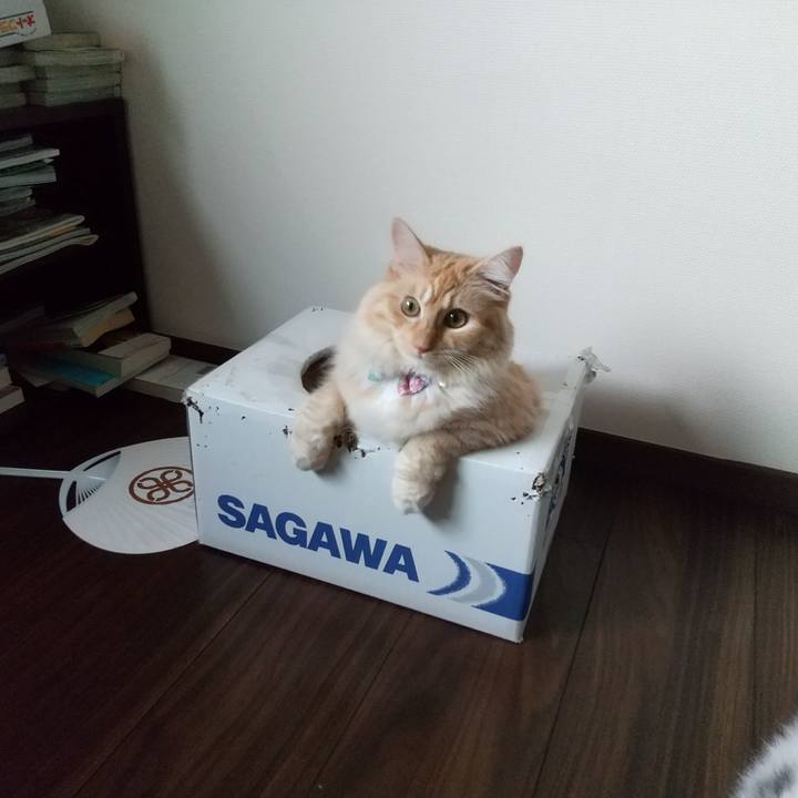 Ea4017a1 6bdb 4e5b 9d60 d3fc10cb3833 1630195432978