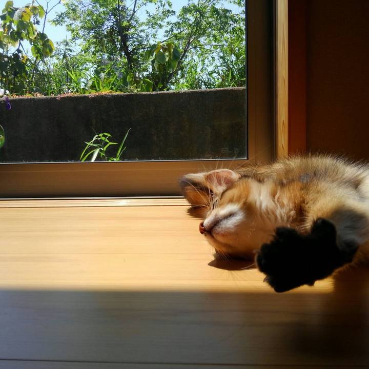 Ea4022de baca 496b bd2f a7dcc9292564 1573307888618