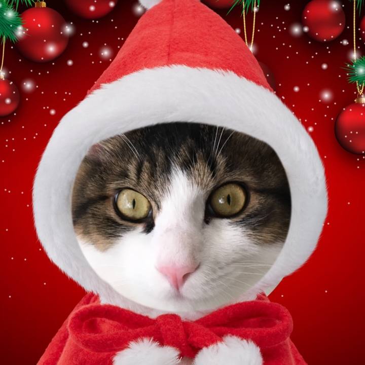 Ea402d51 1c27 471b bcfc a7fc3c023ca7 1513467657160