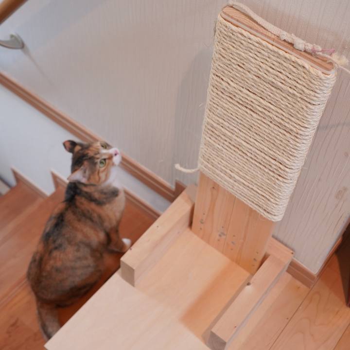 Ea40396b a432 425f b758 8f7fb3284ee0 1610355529581