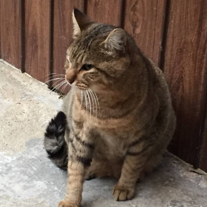 Ea404cde 3192 4a42 af93 e2a54ea6a23a 1510961597722