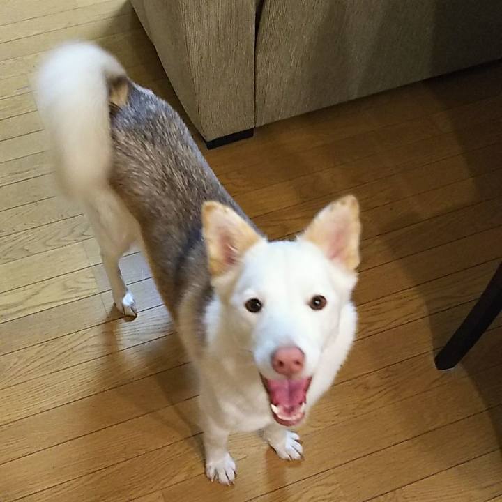 Ea406b3c a911 41e3 bfcd 1b5d36ccce6a 1521762887613