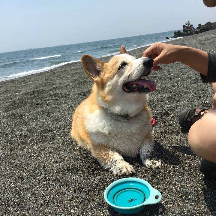 Ea406c86 aac8 4cc6 83e4 5aa6dc6e2b95 1527466613097