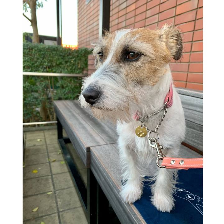 Ea406dac 4078 4444 b6b9 4509360d991b 1605601625675