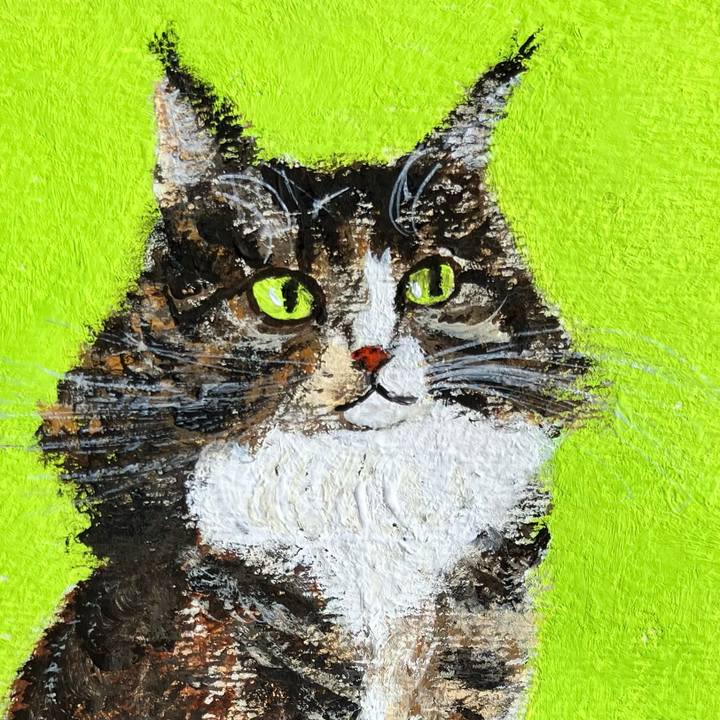 Ea407984 0fec 41e9 ad3a f222002948ce 1772700600746