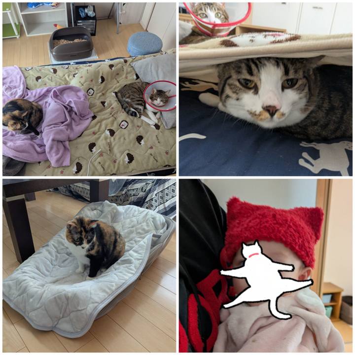 Ea4083fa 4230 4aa1 9be2 7ed513f7725c 1764137637643