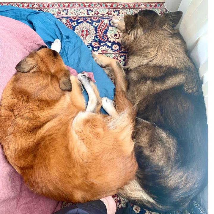 Ea408aa5 2d19 4cd7 b08b d8e0d1f5a848 1766732168499