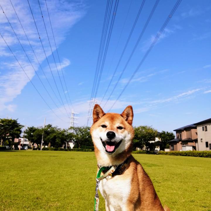 Ea40912a 3508 4612 b326 3eb7d90a51f6 1624262071292