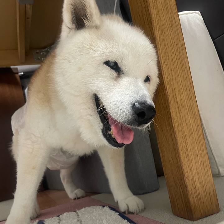 Ea409ed2 1833 4008 947a 69e57a13ccdb 1763528293257