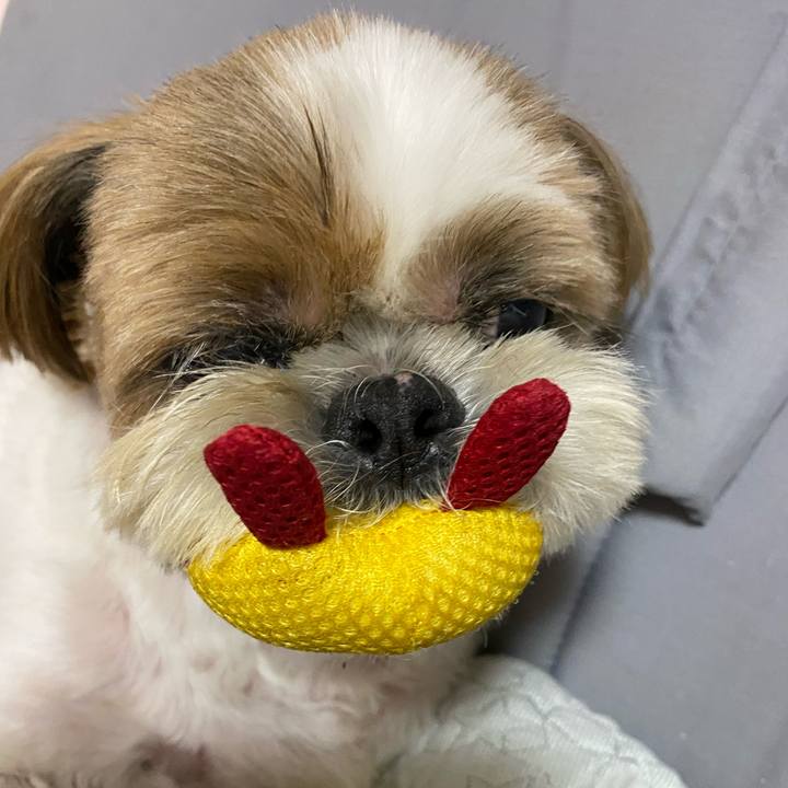 Ea40cdf1 2a61 455e 9f07 11df55a79689 1596100720308