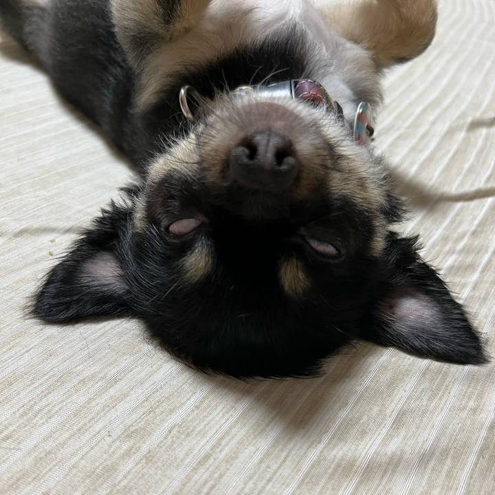 Ea415b01 b252 4edc 82c7 db0cadbc8eb1 1688900622272