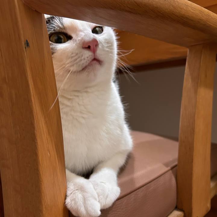 Ea4168da bc82 4c06 90c5 01372c9ca28d 1724252795325