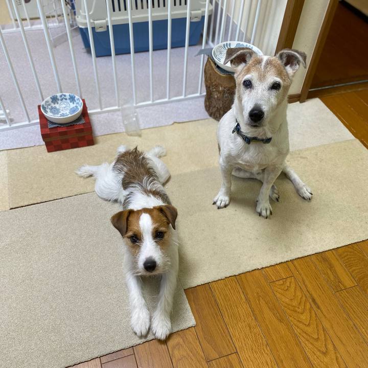 Ea41986b b2da 4a13 8d70 aaaf53eefc23 1660862744661