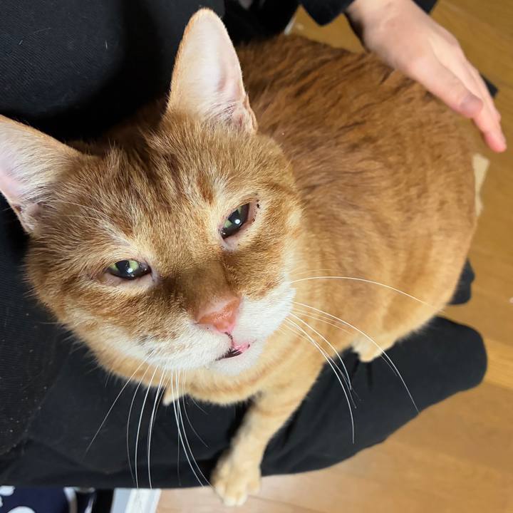 Ea419a33 e3d3 49e7 9e74 41b7a3e71fa3 1767702768842