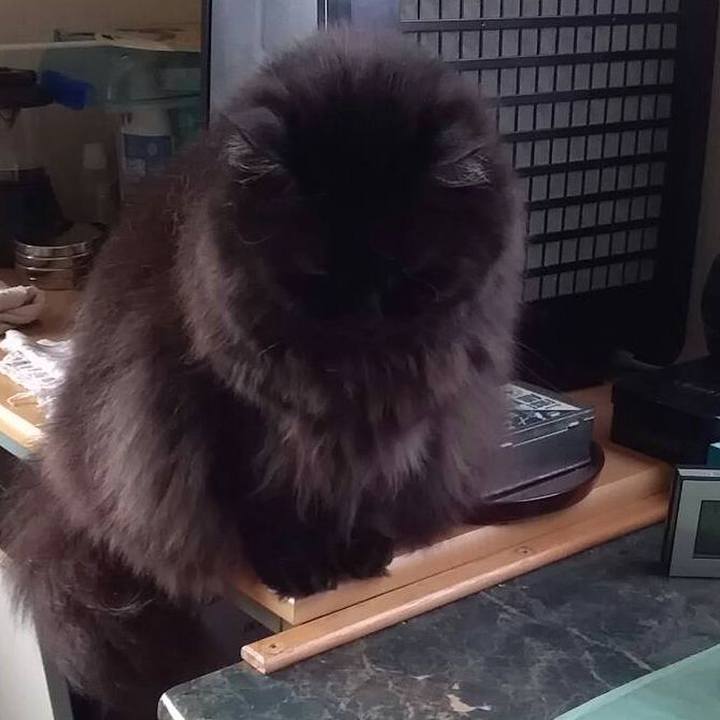 Ea41c607 93d8 4be4 8cd9 9b6faa4b4ca9 1529371305625