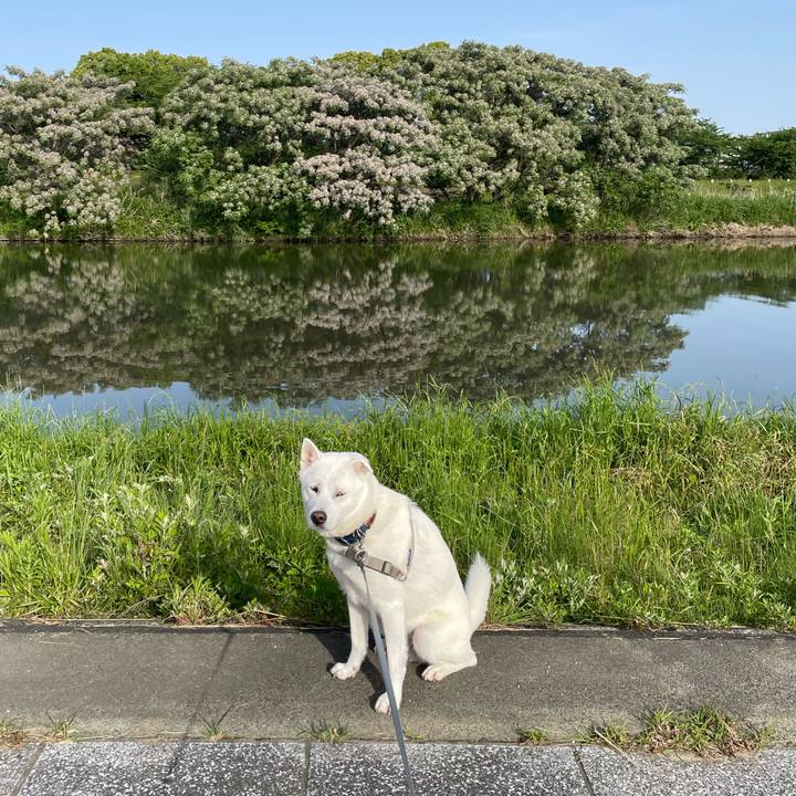 Ea41c7f9 f5fa 44ea b194 cfa9f4eb7396 1747607291854