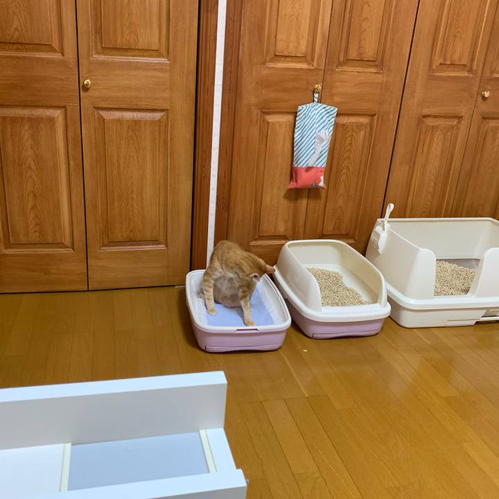 Ea4201c1 e195 4345 8578 e18f49f18a3a 1635886414744