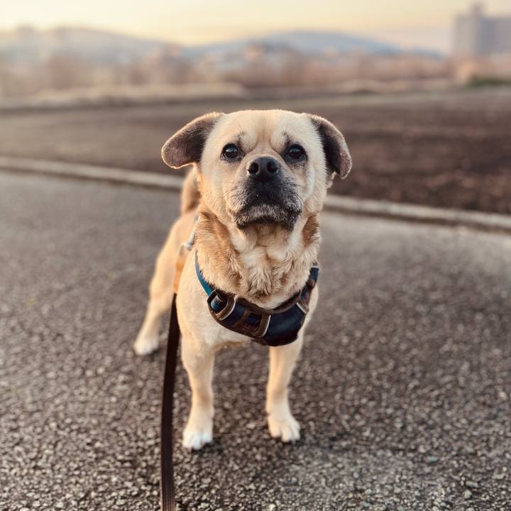 Ea4206de ba7f 49b2 9a3c 7f605c966beb 1773007548111