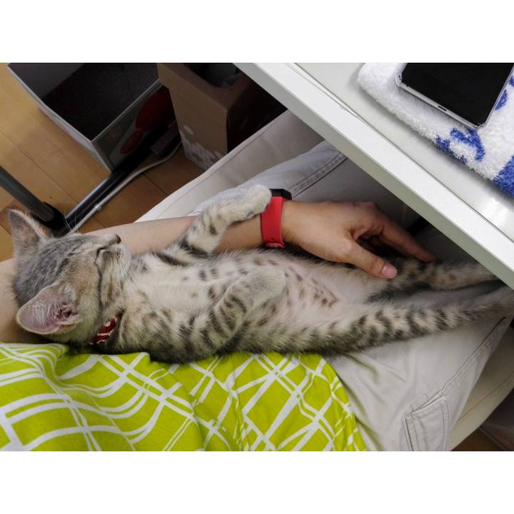 Ea424606 27c1 4b61 a3df 78399c838d4d 1619143802546