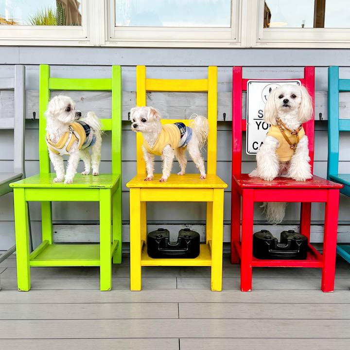 Ea429161 b308 467a 81fe a4e7502de554 1677922530426