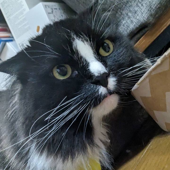 Ea429f78 33b2 49cd abfe 3692f2343973 1717589123995