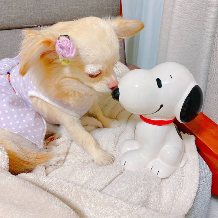 Ea42a72b e1a6 44cf a441 a3da32d4be89 1638443063637